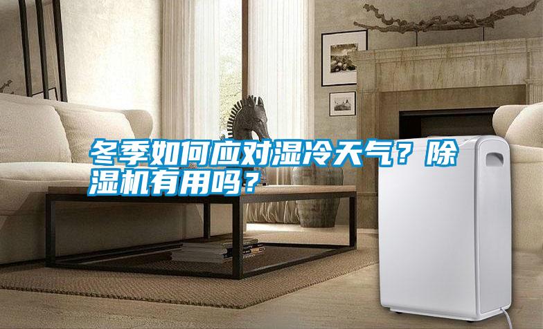 冬季如何應(yīng)對(duì)濕冷天氣？除濕機(jī)有用嗎？