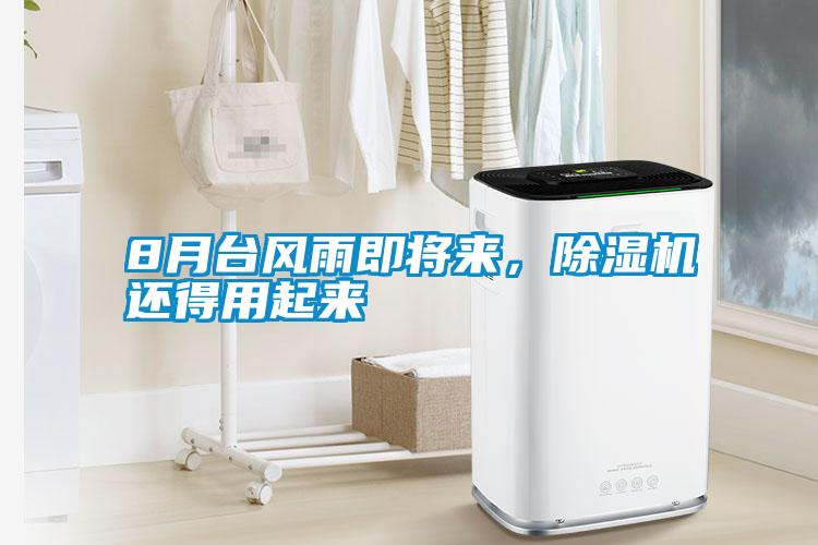 8月臺風雨即將來，除濕機還得用起來
