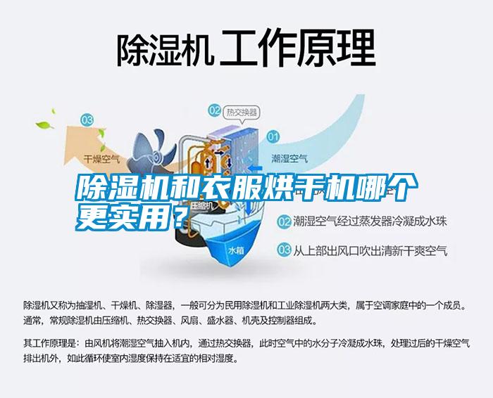 除濕機和衣服烘干機哪個更實用？