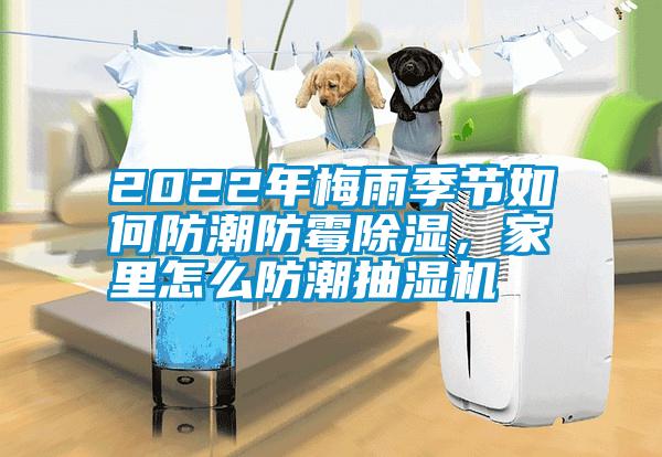 2022年梅雨季節(jié)如何防潮防霉除濕，家里怎么防潮抽濕機(jī)
