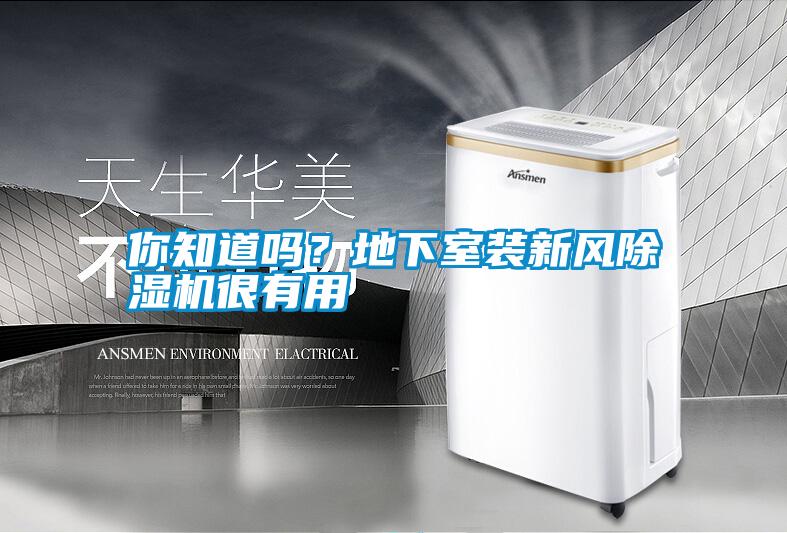 你知道嗎？地下室裝新風(fēng)除濕機(jī)很有用