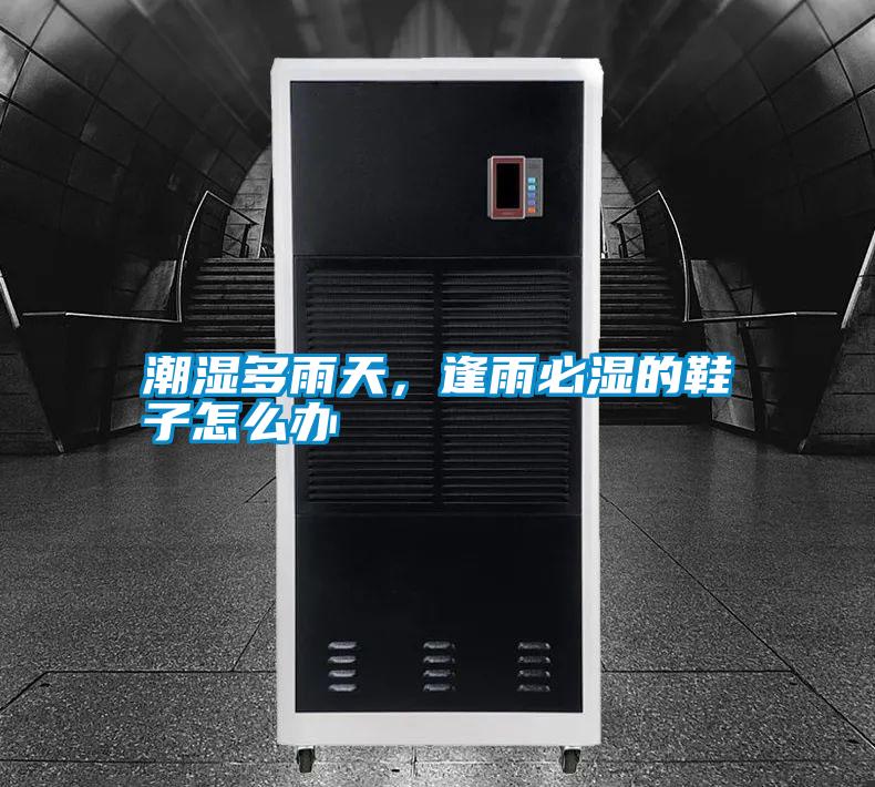 潮濕多雨天，逢雨必濕的鞋子怎么辦