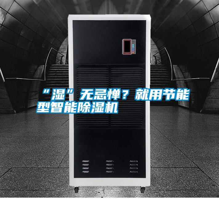 “濕”無忌憚？就用節(jié)能型智能除濕機