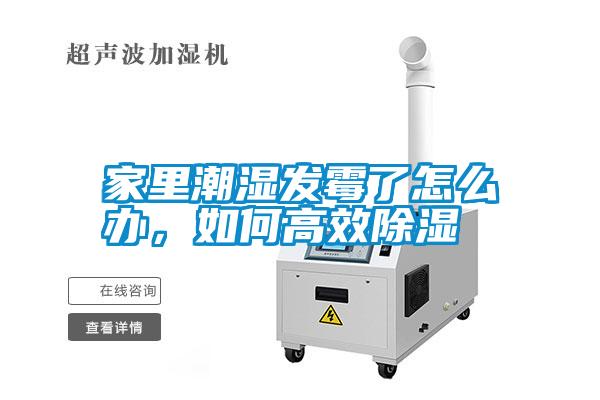 家里潮濕發(fā)霉了怎么辦，如何高效除濕