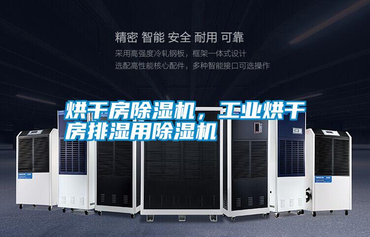 烘干房除濕機(jī)，工業(yè)烘干房排濕用除濕機(jī)