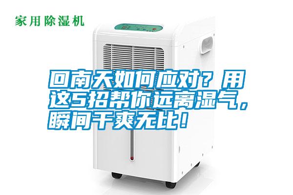 回南天如何應(yīng)對？用這5招幫你遠離濕氣，瞬間干爽無比！