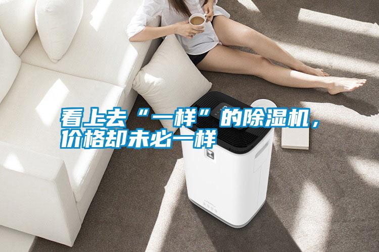 看上去“一樣”的除濕機，價格卻未必一樣