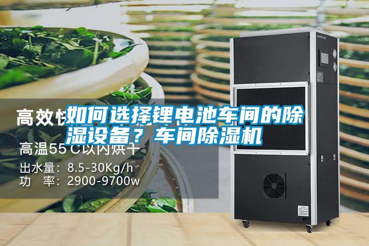 如何選擇鋰電池車間的除濕設(shè)備？車間除濕機(jī)