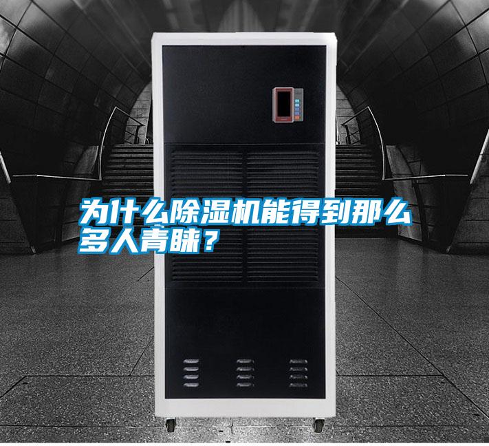 為什么除濕機(jī)能得到那么多人青睞？