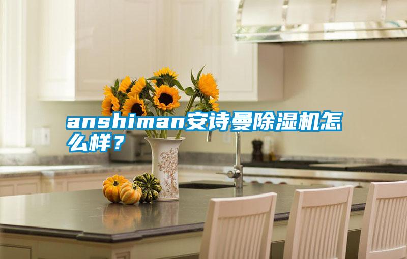 anshiman安詩曼除濕機(jī)怎么樣？