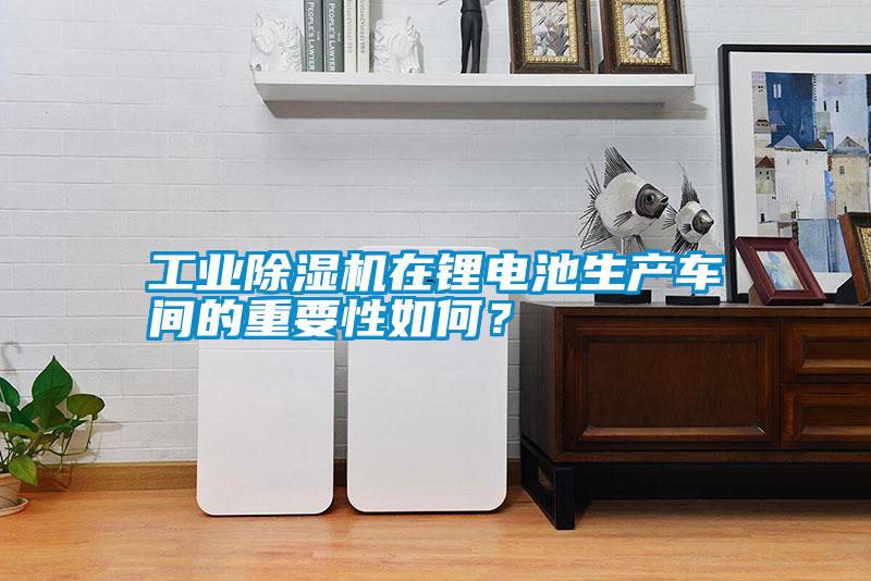 工業(yè)除濕機在鋰電池生產(chǎn)車間的重要性如何？