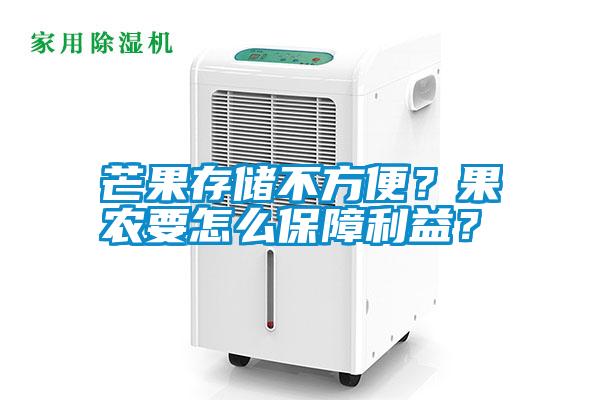 芒果存儲不方便？果農(nóng)要怎么保障利益？