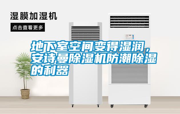 地下室空間變得濕潤，安詩曼除濕機防潮除濕的利器