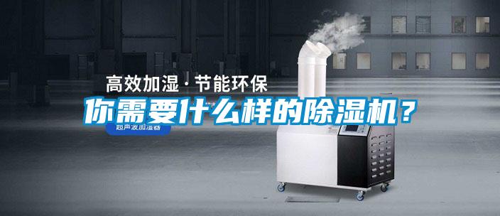 你需要什么樣的除濕機(jī)？
