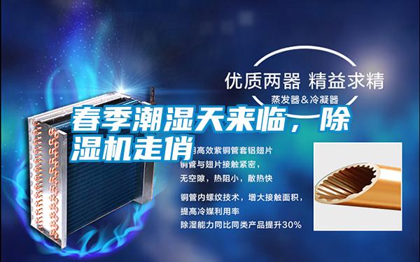 春季潮濕天來(lái)臨，除濕機(jī)走俏