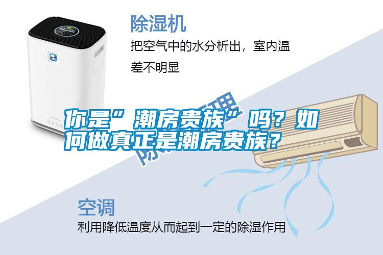 你是”潮房貴族”嗎？如何做真正是潮房貴族？