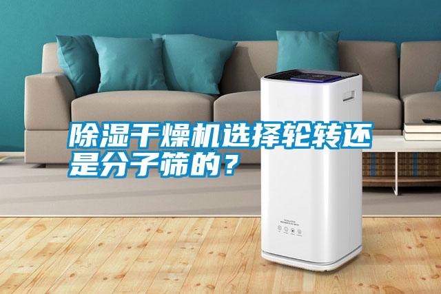 除濕干燥機選擇輪轉(zhuǎn)還是分子篩的？