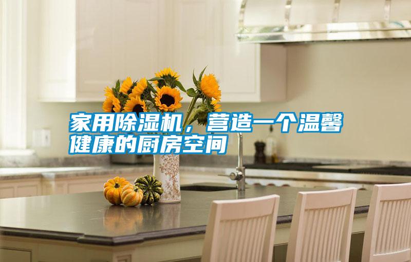 家用除濕機(jī)，營(yíng)造一個(gè)溫馨健康的廚房空間