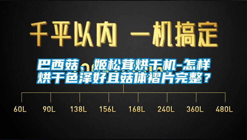 巴西菇、姬松茸烘干機(jī)-怎樣烘干色澤好且菇體褶片完整？