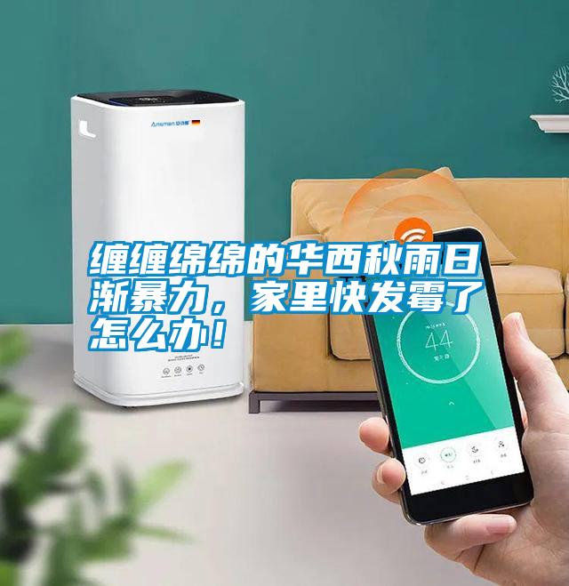 纏纏綿綿的華西秋雨日漸暴力，家里快發(fā)霉了怎么辦！