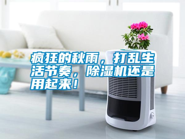 瘋狂的秋雨，打亂生活節(jié)奏，除濕機還是用起來！