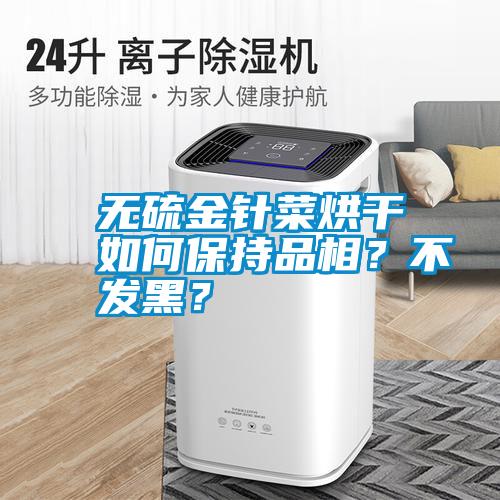 無(wú)硫金針菜烘干如何保持品相？不發(fā)黑？