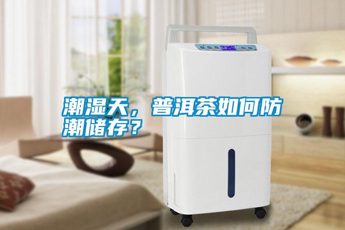 潮濕天，普洱茶如何防潮儲存？