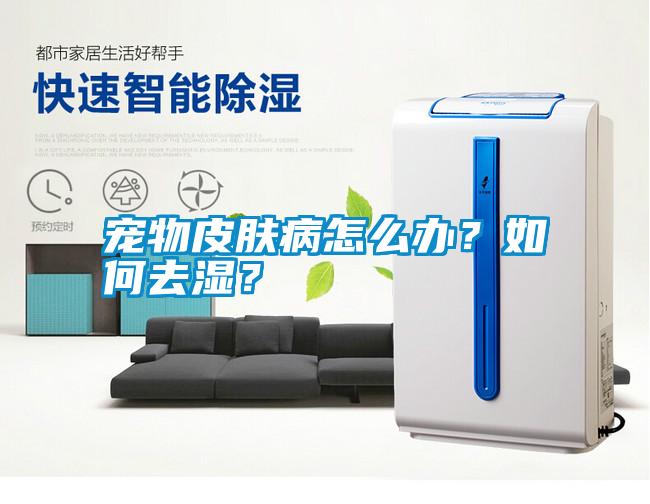 寵物皮膚病怎么辦？如何去濕？