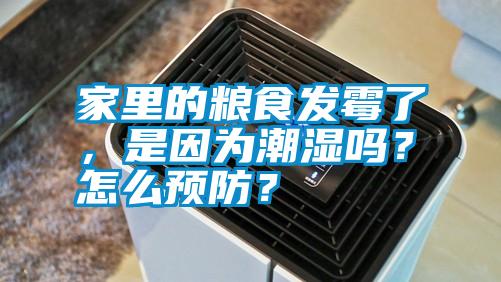 家里的糧食發(fā)霉了，是因為潮濕嗎？怎么預(yù)防？