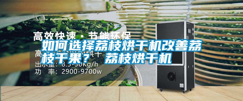 如何選擇荔枝烘干機改善荔枝干果？ 荔枝烘干機
