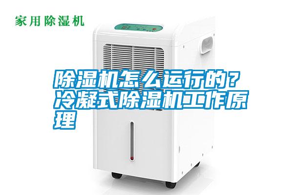 除濕機怎么運行的？冷凝式除濕機工作原理