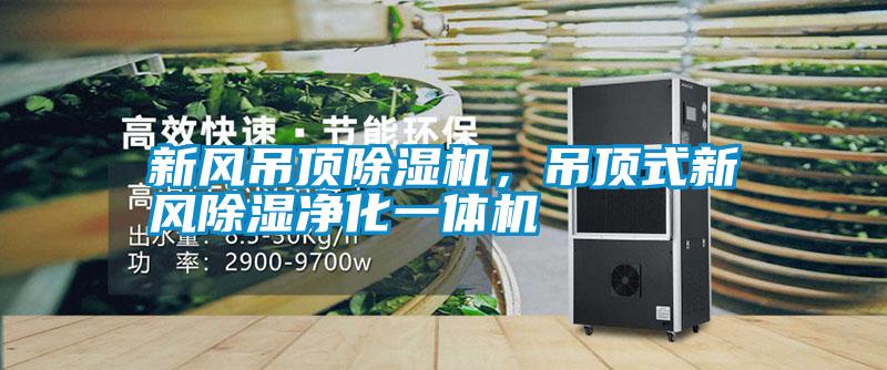 新風(fēng)吊頂除濕機，吊頂式新風(fēng)除濕凈化一體機