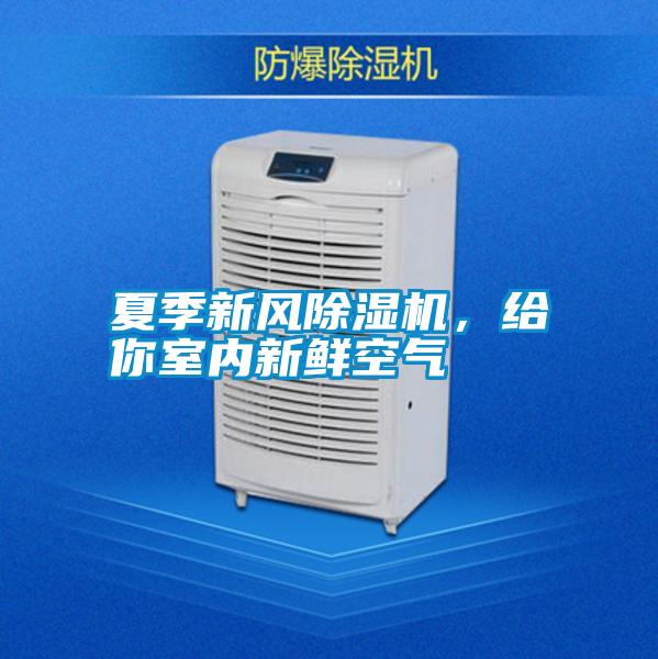 夏季新風除濕機，給你室內(nèi)新鮮空氣