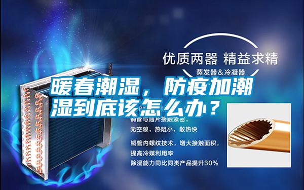 暖春潮濕，防疫加潮濕到底該怎么辦？