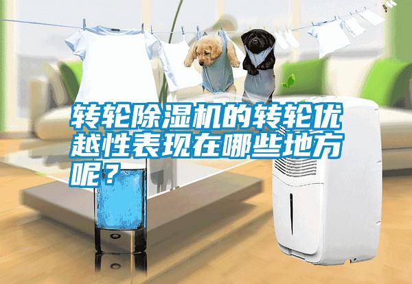 轉(zhuǎn)輪除濕機的轉(zhuǎn)輪優(yōu)越性表現(xiàn)在哪些地方呢？