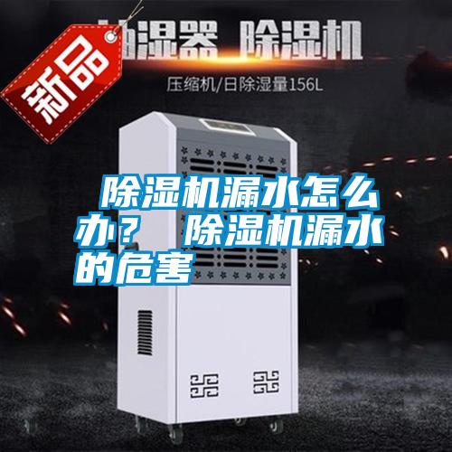  除濕機(jī)漏水怎么辦？ 除濕機(jī)漏水的危害