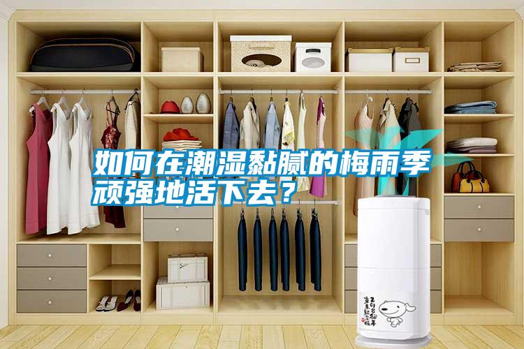 如何在潮濕黏膩的梅雨季頑強(qiáng)地活下去？