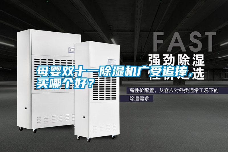 母嬰雙十一除濕機廣受追捧，買哪個好？