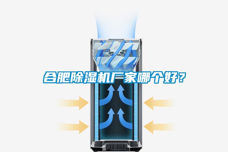 合肥除濕機(jī)廠家哪個(gè)好？