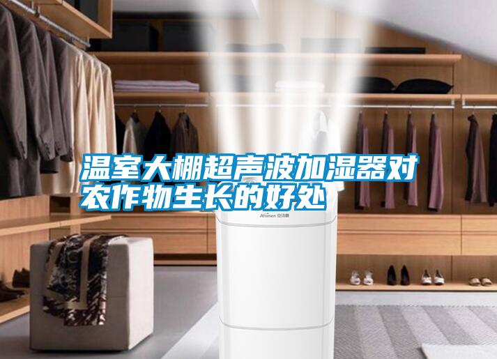 溫室大棚超聲波加濕器對(duì)農(nóng)作物生長的好處