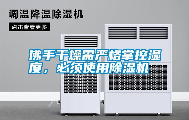 佛手干燥需嚴(yán)格掌控濕度，必須使用除濕機(jī)