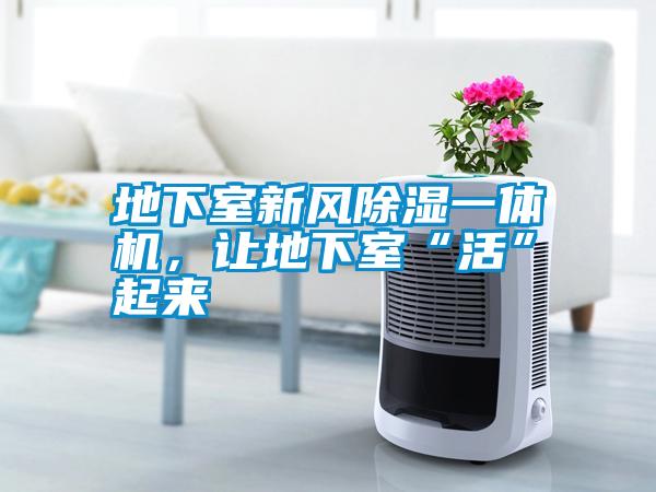 地下室新風(fēng)除濕一體機(jī)，讓地下室“活”起來(lái)