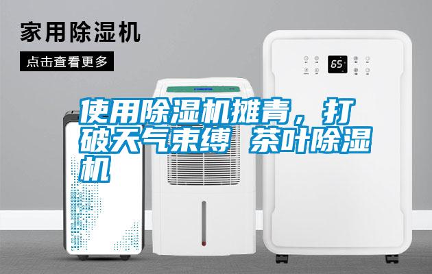 使用除濕機(jī)攤青，打破天氣束縛 茶葉除濕機(jī)