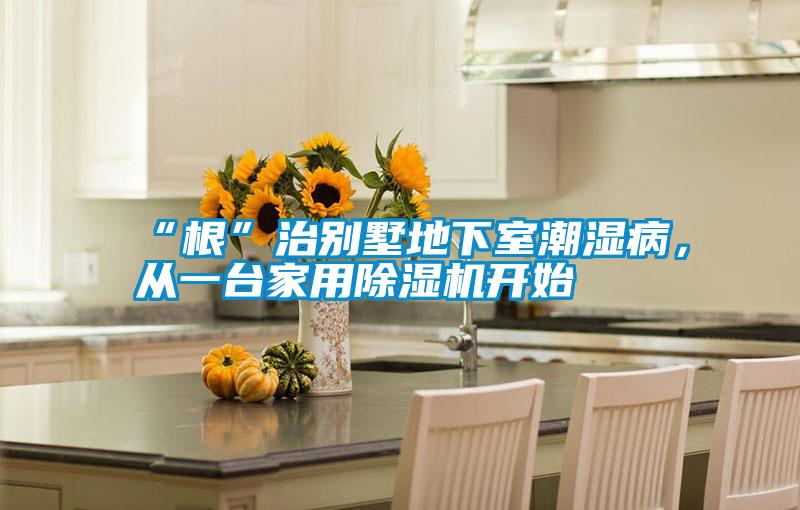 “根”治別墅地下室潮濕病，從一臺(tái)家用除濕機(jī)開始