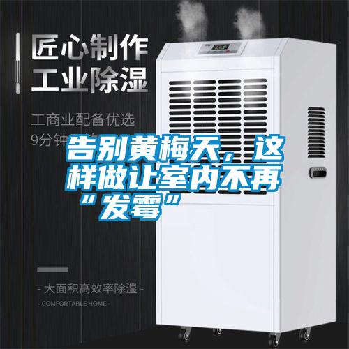告別黃梅天，這樣做讓室內(nèi)不再“發(fā)霉”