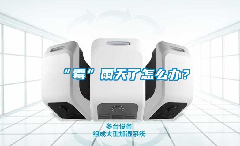 “霉”雨天了怎么辦？