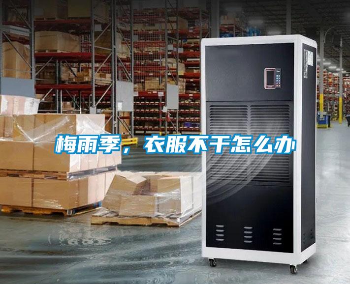 梅雨季，衣服不干怎么辦