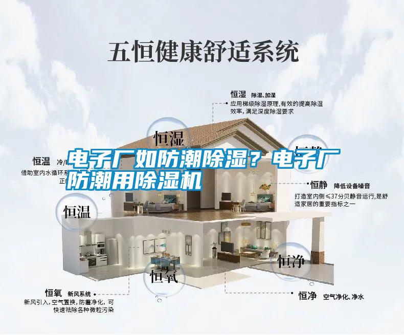 電子廠如防潮除濕？電子廠防潮用除濕機(jī)