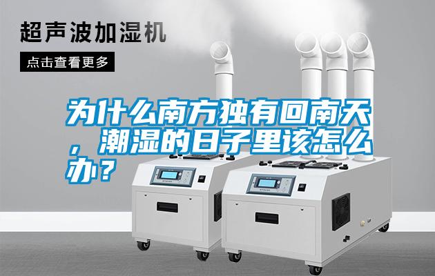 為什么南方獨(dú)有回南天，潮濕的日子里該怎么辦？