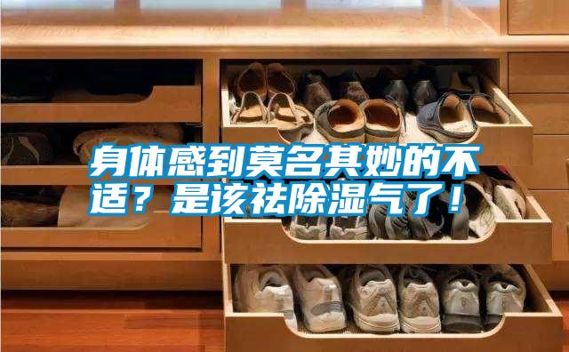 身體感到莫名其妙的不適？是該祛除濕氣了！